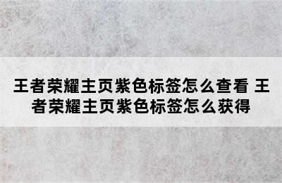 王者荣耀主页紫色标签怎么查看 王者荣耀主页紫色标签怎么获得